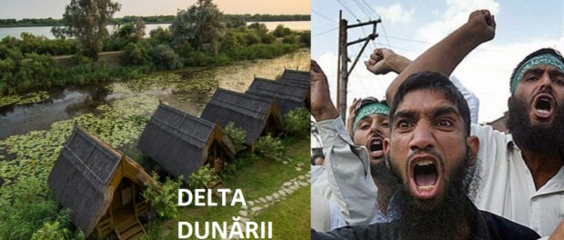 delta-imigranti